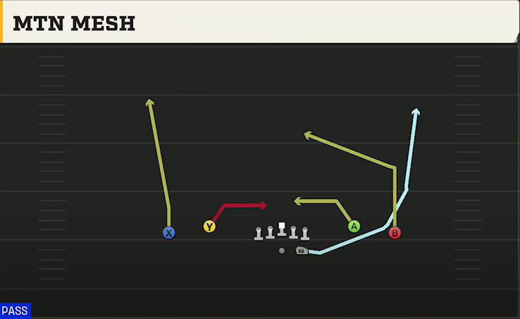 Purdue Offense Gun Spread Dbl Flex Mtn Mesh play diagram