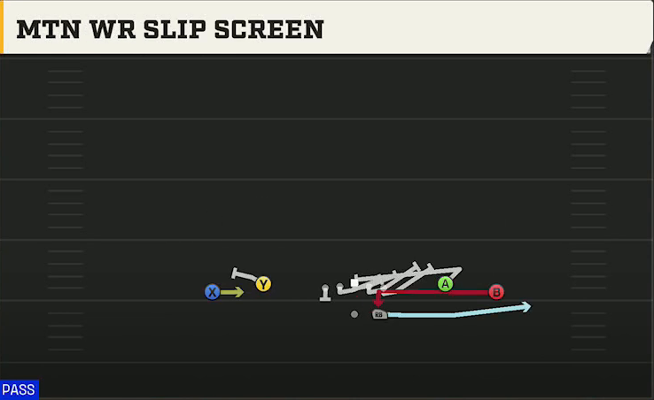 LSU Offense Gun Spread Dbl Flex Mtn WR Slip Screen play diagram