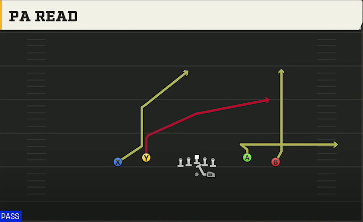 LSU Offense Gun Spread Dbl Flex PA Read play diagram