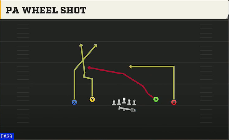 LSU Offense Gun Spread Dbl Flex PA Wheel Shot play diagram