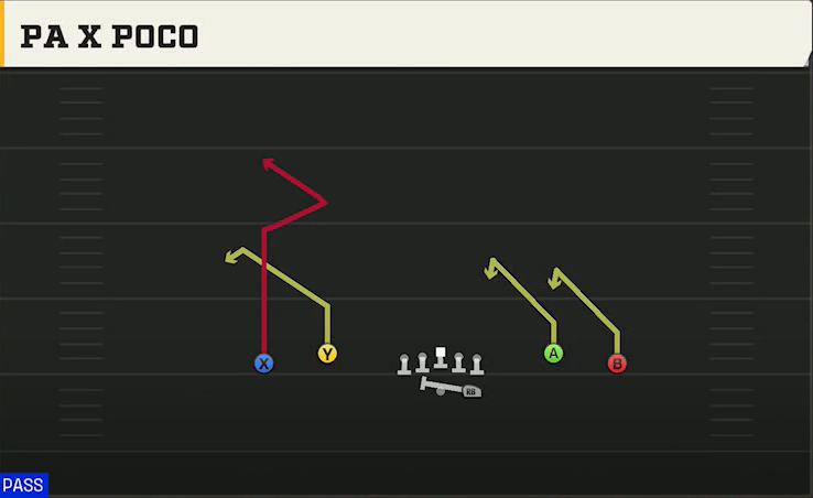 LSU Offense Gun Spread Dbl Flex PA X Poco play diagram