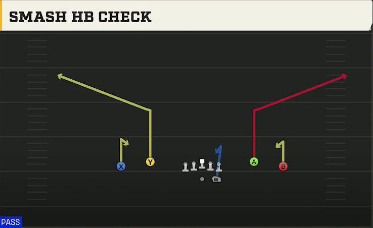 LSU Offense Gun Spread Dbl Flex Smash HB Check play diagram
