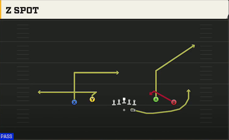 LSU Offense Gun Spread Dbl Flex Z Spot play diagram