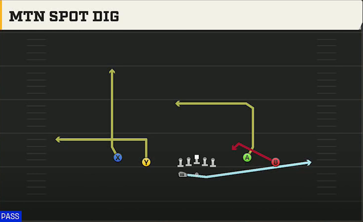 Wake Forest Offense Gun Spread Flex Wk Mtn Spot Dig play diagram