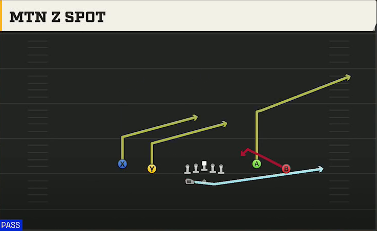 Wake Forest Offense Gun Spread Flex Wk Mtn Z Spot play diagram