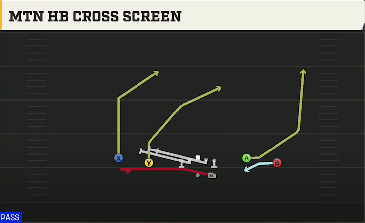 Georgia Offense Gun Spread Y-Flex Mtn HB Cross Screen play diagram