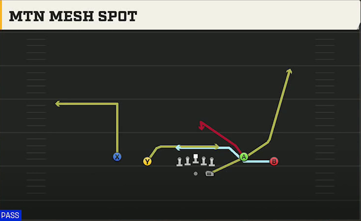Marshall Offense Gun Spread Y-Flex Mtn Mesh Spot play diagram