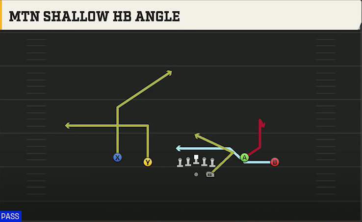 Georgia Offense Gun Spread Y-Flex Mtn Shallow HB Angle play diagram