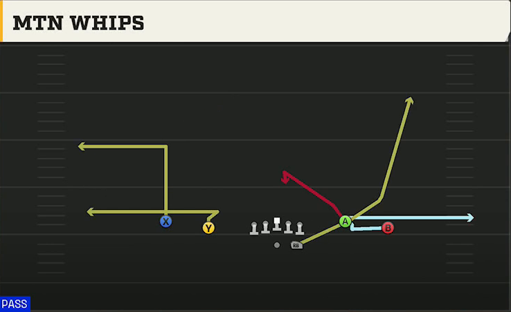 Marshall Offense Gun Spread Y-Flex Mtn Whips play diagram