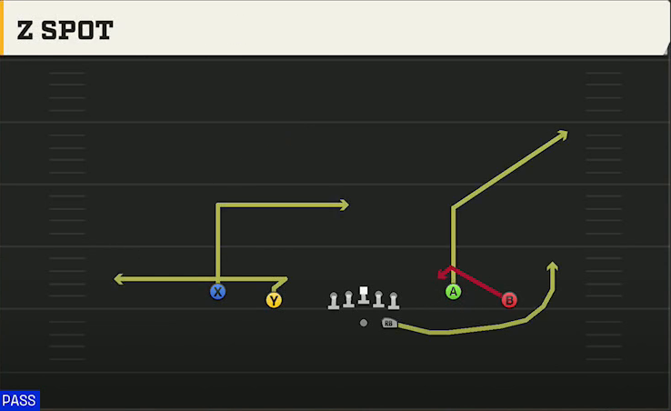Pro Style (Alternate Offense) Gun Spread Y-Flex Z Spot play diagram