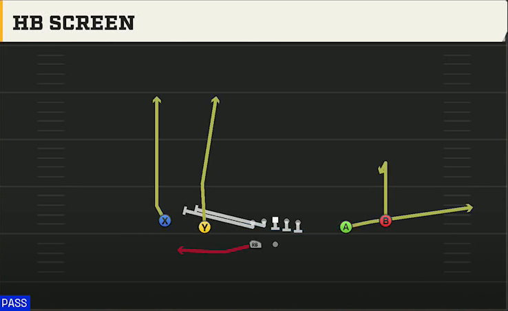 Stanford Offense Gun Spread HB Wk HB Screen play diagram