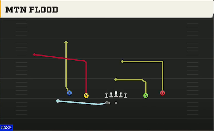 Marshall Offense Gun Spread HB Wk Mtn Flood play diagram