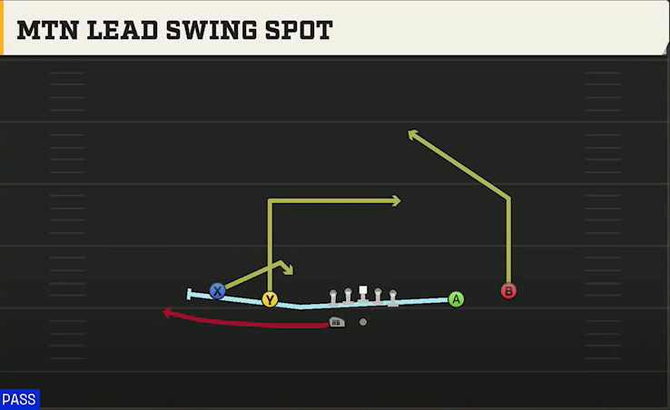 Marshall Offense Gun Spread HB Wk Mtn Lead Swing Spot play diagram