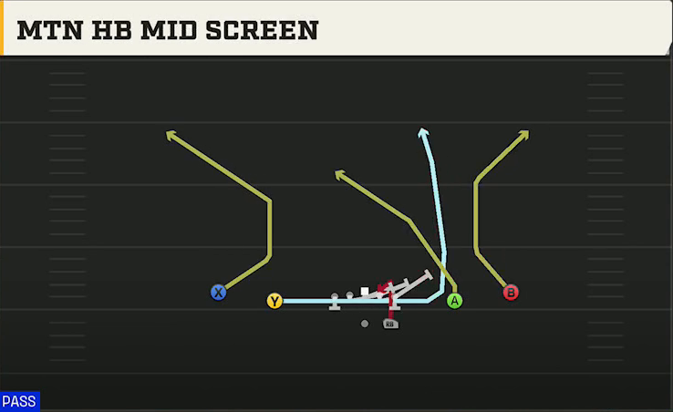 Pittsburgh Offense Gun Spread Y-Slot Mtn HB Mid Screen play diagram