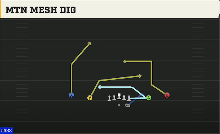 James Madison Offense Gun Spread Y-Slot Mtn Mesh Dig play diagram