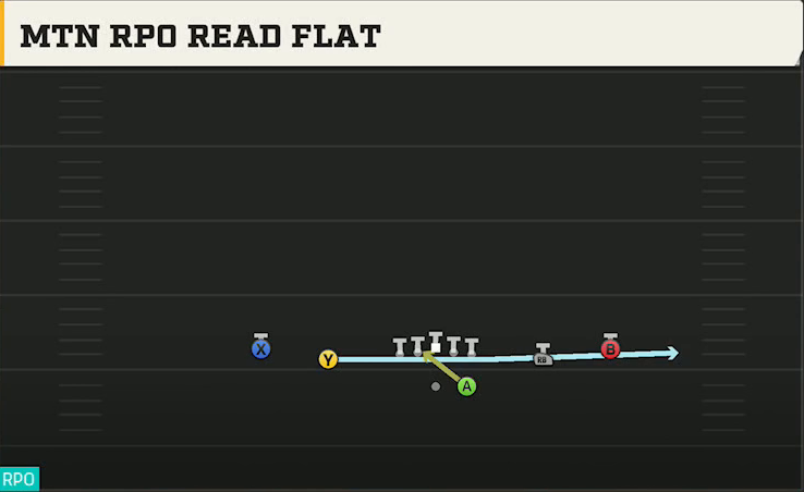 Delaware Offense Gun Spread Y-Slot Mtn RPO Read Flat play diagram