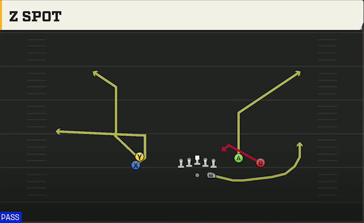 Buffalo Offense Gun Stack Y-Flex Z Spot play diagram