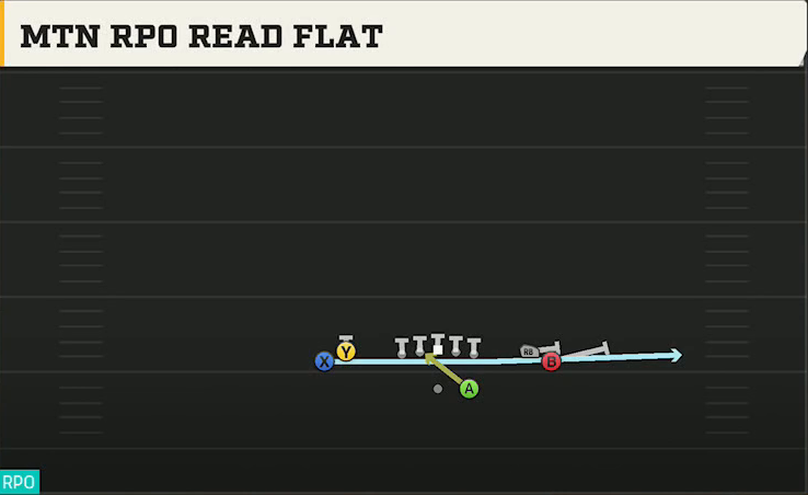 UCF Offense Gun Tight Open Mtn RPO Read Flat play diagram