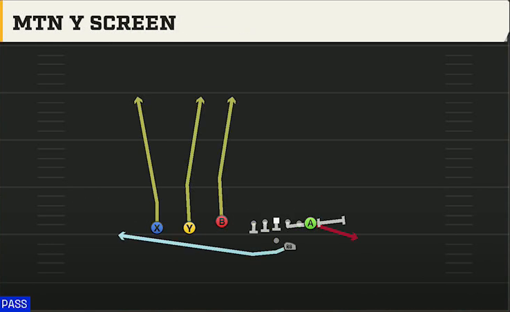 Western Kentucky Offense Gun Trey Offset Mtn Y Screen play diagram