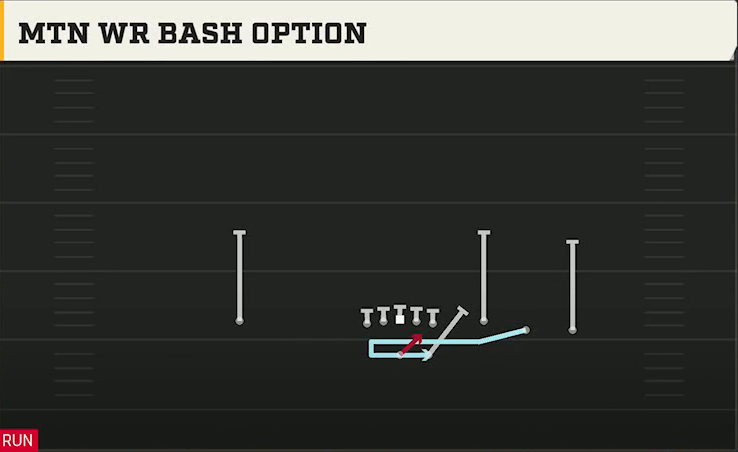 LSU Offense Gun Trey Open Str Mtn WR Bash Option play diagram