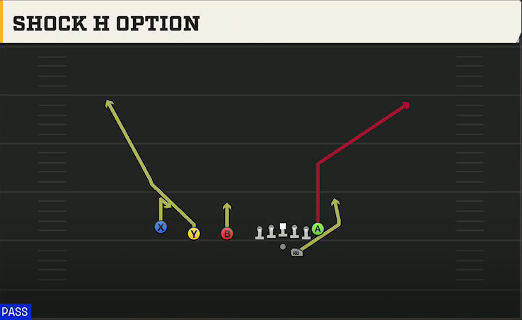 NC State Offense Gun Trips TE Offset Shock H Option play diagram