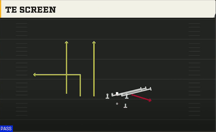 Akron Offense Gun Trips TE TE Screen play diagram