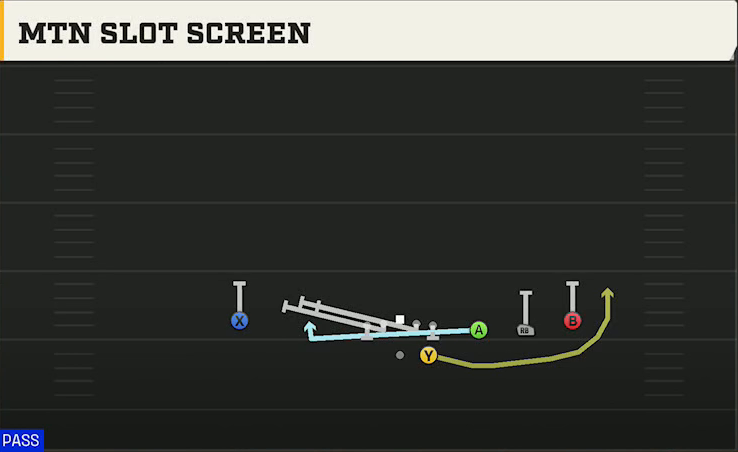 Ohio Offense Gun Trips Mtn Slot Screen play diagram
