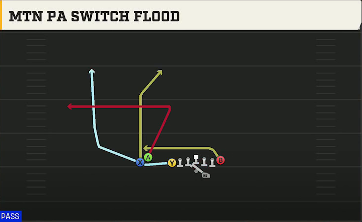 Northern Illinois Offense Gun U Off Stack Mtn PA Switch Flood play diagram