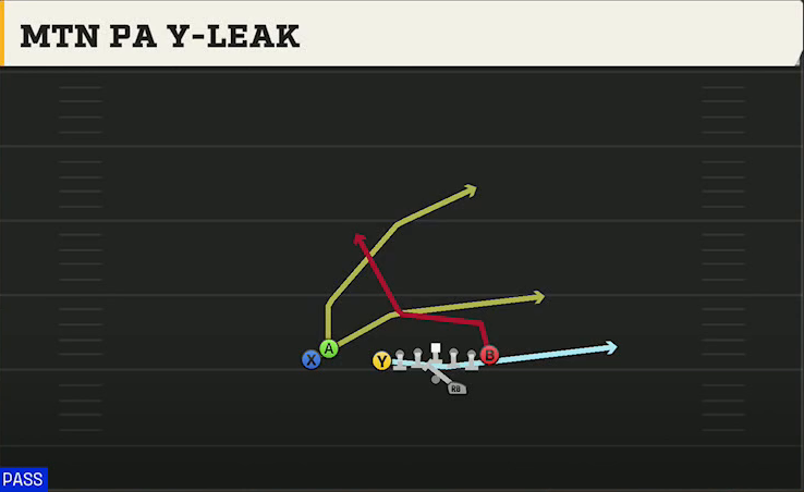 Northern Illinois Offense Gun U Off Stack Mtn PA Y-leak play diagram