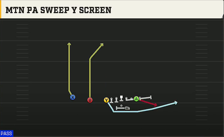 Rice Offense Gun Wingback Off Trips Mtn PA Sweep Y Screen play diagram