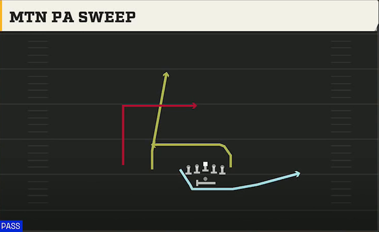 Rice Offense Gun Wingback Off Trips Mtn PA Sweep play diagram