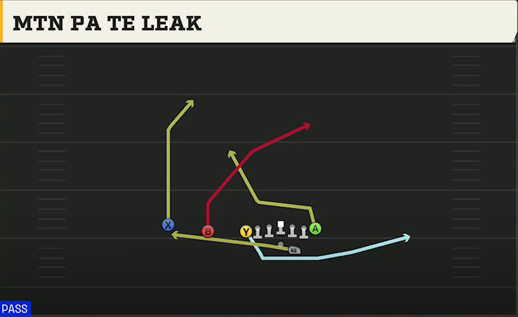 Navy Offense Gun Flexbone Trips Mtn PA TE Leak play diagram