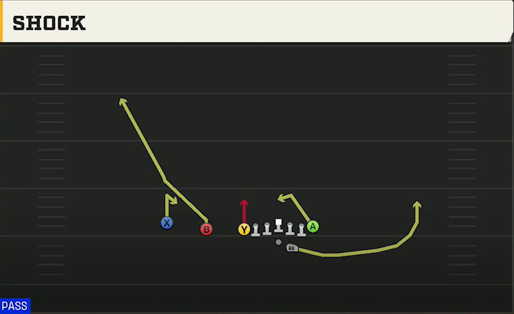 Navy Offense Gun Flexbone Trips Shock play diagram