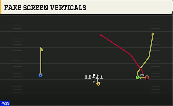 Texas State Offense Gun Wide Bunch Fake Screen Verticals play diagram