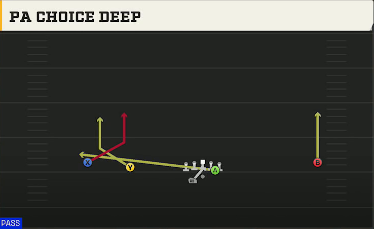 LSU Offense Gun Wide Slot Left Wk PA Choice Deep play diagram
