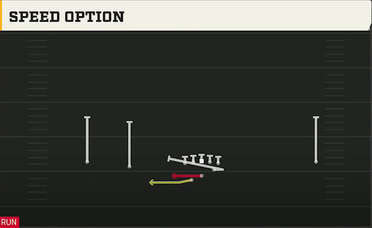LSU Offense Gun Wide Slot Left Wk Speed Option play diagram