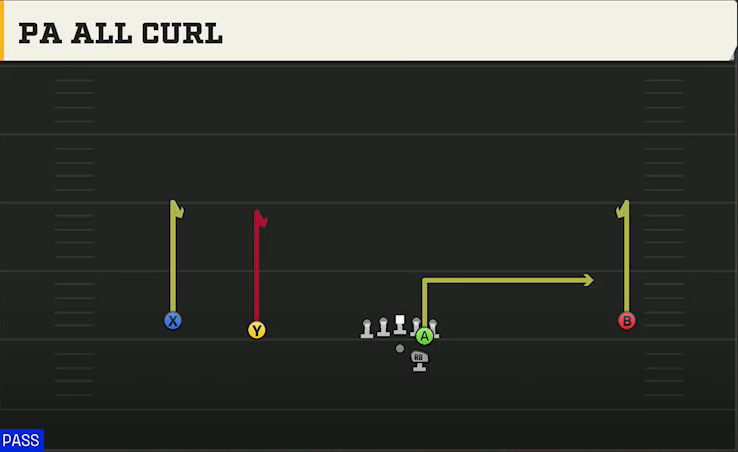 Auburn Offense Gun Wide Slot Left PA All Curl play diagram
