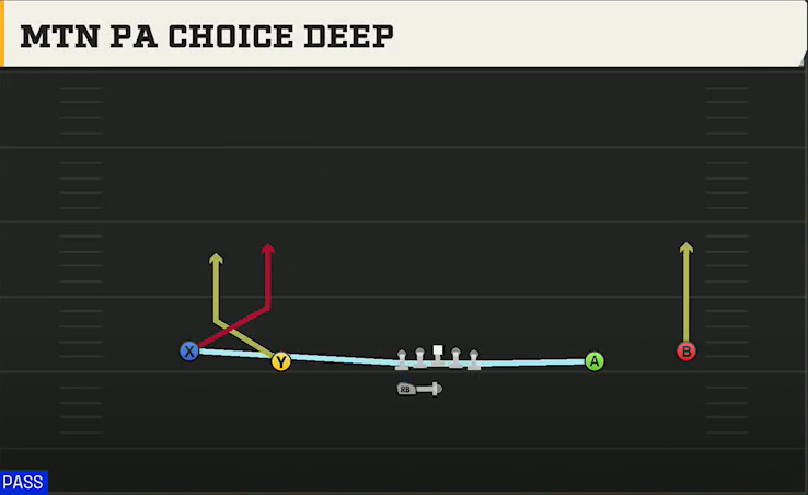 Auburn Offense Gun Wide Spread Y-Slot Wk Mtn PA Choice Deep play diagram