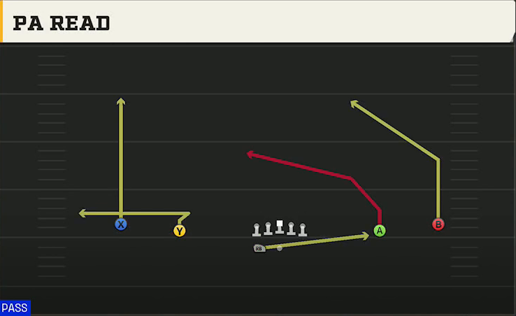 Auburn Offense Gun Wide Spread Y-Slot Wk PA Read play diagram