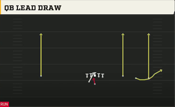 Michigan Offense Gun Wide Trey Open Wing QB Lead Draw play diagram