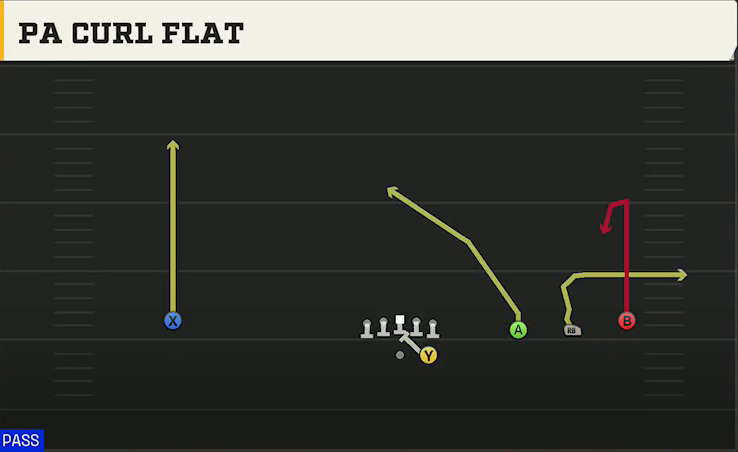 Ole Miss Offense Gun Wide Trips PA Curl Flat play diagram