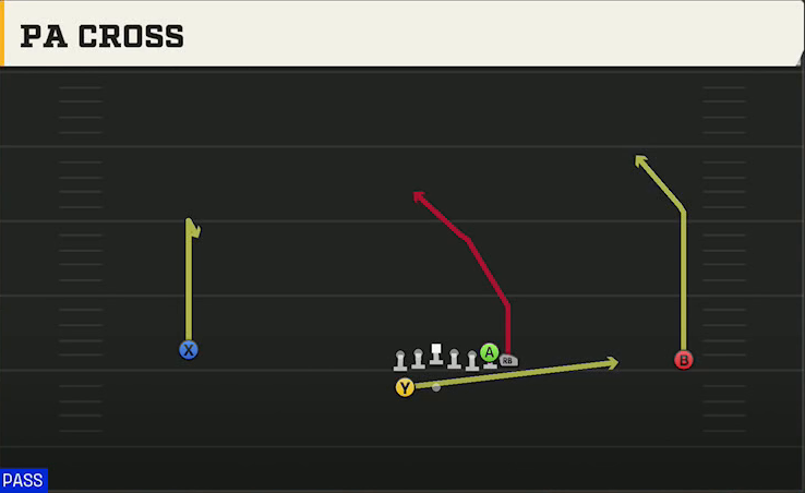 Auburn Offense Gun Wide Wing HB Wk PA Cross play diagram