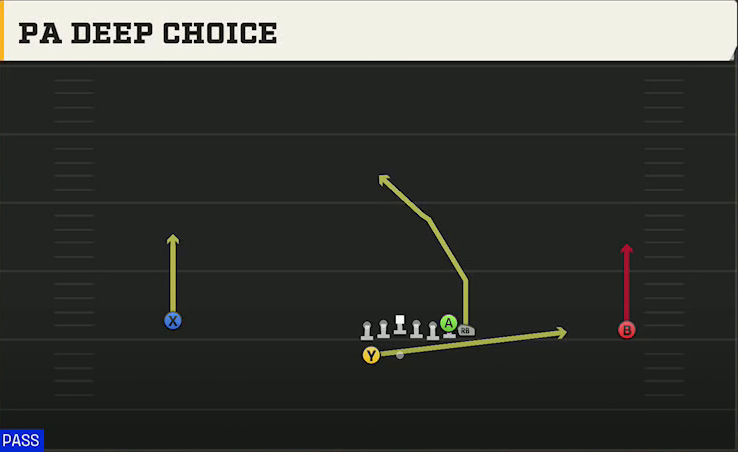 Auburn Offense Gun Wide Wing HB Wk PA Deep Choice play diagram