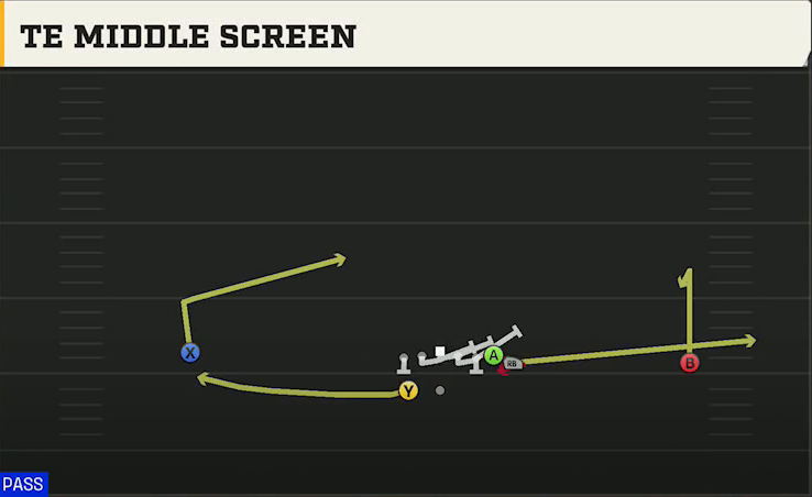 Auburn Offense Gun Wide Wing HB Wk TE Middle Screen play diagram