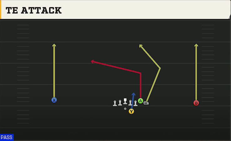 Duke Offense Gun Wide Wing Offset TE Attack play diagram