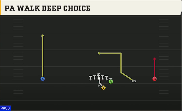 Troy Offense Gun Wide Y Off Trips PA Walk Deep Choice play diagram