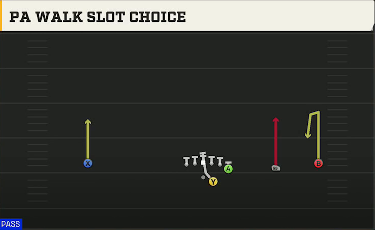 Troy Offense Gun Wide Y Off Trips PA Walk Slot Choice play diagram
