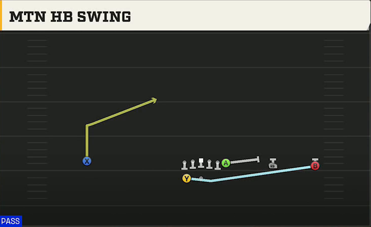 Auburn Offense Gun Wide Y Trips Wk Mtn HB Swing play diagram