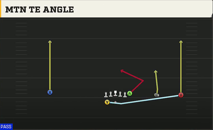 Auburn Offense Gun Wide Y Trips Wk Mtn TE Angle play diagram