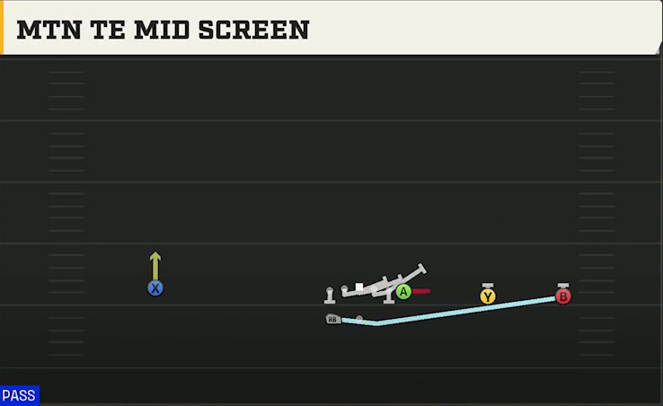 Auburn Offense Gun Wide Y Trips Wk Mtn TE Mid Screen play diagram